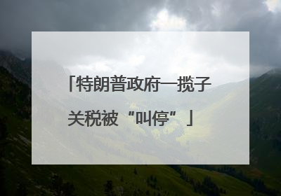 特朗普政府一揽子关税被“叫停”