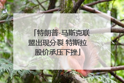 特朗普-马斯克联盟出现分裂 特斯拉股价承压下挫