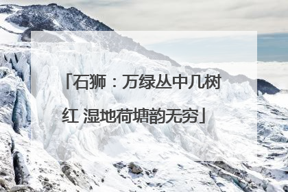 石狮：万绿丛中几树红 湿地荷塘韵无穷