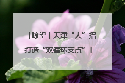瞭望丨天津“大”招打造“双循环支点”