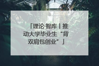 理论·智库丨推动大学毕业生“背双肩包创业”
