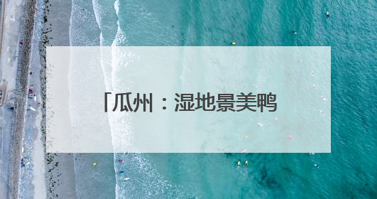 瓜州：湿地景美鸭先知 赤麻鸭为荒漠湿地“上大分”