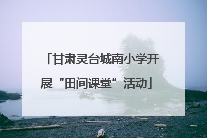 甘肃灵台城南小学开展“田间课堂”活动