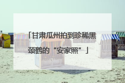 甘肃瓜州拍到珍稀黑颈鹤的“安家照”