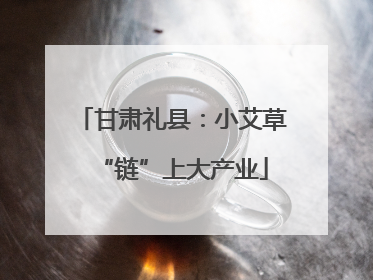 甘肃礼县：小艾草“链”上大产业