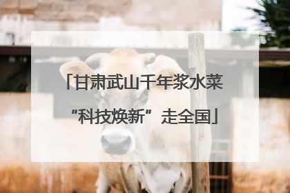 甘肃武山千年浆水菜“科技焕新”走全国