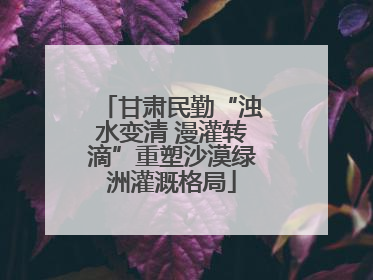 甘肃民勤“浊水变清 漫灌转滴”重塑沙漠绿洲灌溉格局