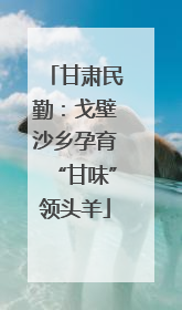 甘肃民勤：戈壁沙乡孕育“甘味”领头羊
