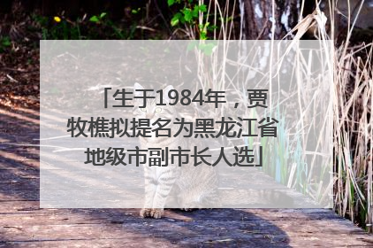 生于1984年，贾牧樵拟提名为黑龙江省地级市副市长人选