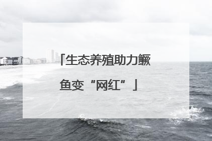 生态养殖助力鳜鱼变“网红”