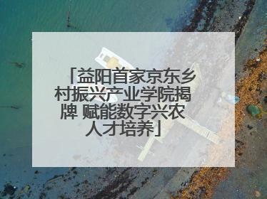 益阳首家京东乡村振兴产业学院揭牌 赋能数字兴农人才培养