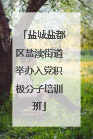 盐城盐都区盐渎街道举办入党积极分子培训班
