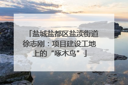 盐城盐都区盐渎街道徐志刚：项目建设工地上的“啄木鸟”