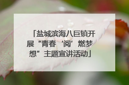 盐城滨海八巨镇开展“青春‘阅’燃梦想”主题宣讲活动