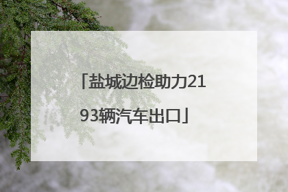 盐城边检助力2193辆汽车出口