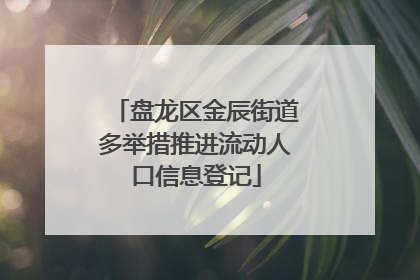 盘龙区金辰街道多举措推进流动人口信息登记