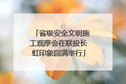 省级安全文明施工观摩会在联投长虹印象圆满举行