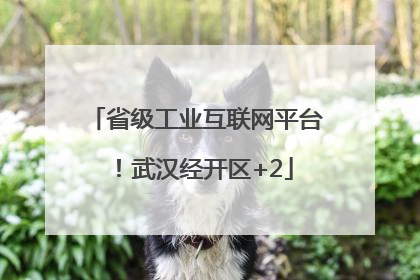 省级工业互联网平台！武汉经开区+2
