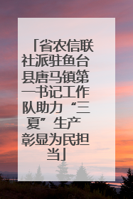 省农信联社派驻鱼台县唐马镇第一书记工作队助力“三夏”生产 彰显为民担当