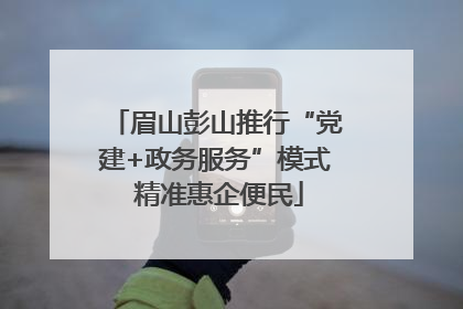 眉山彭山推行“党建+政务服务”模式 精准惠企便民