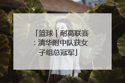 篮球｜耐高联赛：清华附中队获女子组总冠军