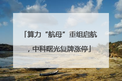 算力“航母”重组启航，中科曙光复牌涨停
