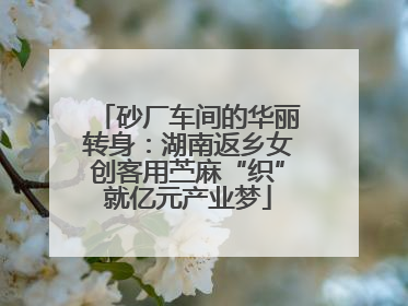 砂厂车间的华丽转身：湖南返乡女创客用苎麻“织”就亿元产业梦