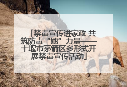 禁毒宣传进家政 共筑防毒“她”力量——十堰市茅箭区多形式开展禁毒宣传活动