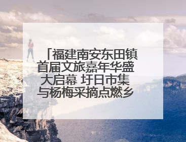 福建南安东田镇首届文旅嘉年华盛大启幕 圩日市集与杨梅采摘点燃乡村振兴新动能