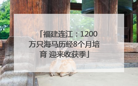 福建连江：1200万只海马历经8个月培育 迎来收获季