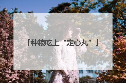 种粮吃上“定心丸”