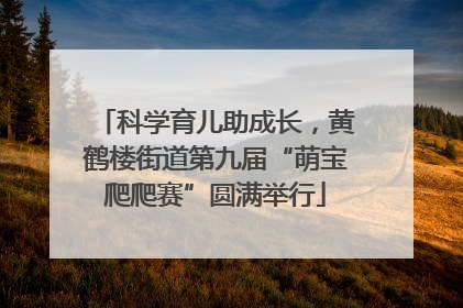 科学育儿助成长，黄鹤楼街道第九届“萌宝爬爬赛”圆满举行