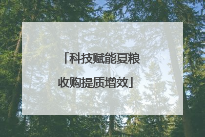 科技赋能夏粮收购提质增效