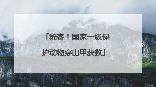 稀客！国家一级保护动物穿山甲获救