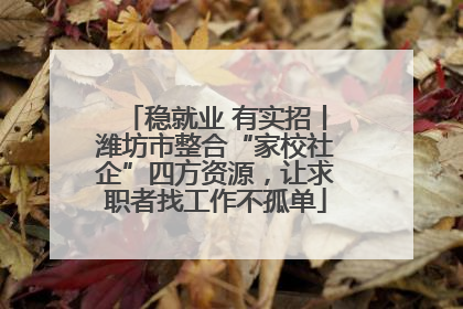 稳就业 有实招丨潍坊市整合“家校社企”四方资源，让求职者找工作不孤单
