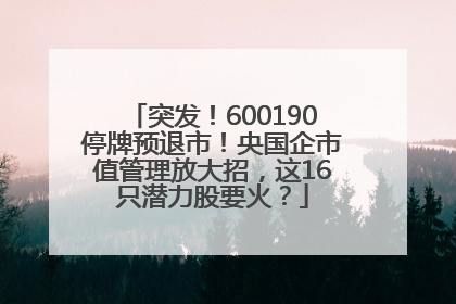 突发！600190停牌预退市！央国企市值管理放大招，这16只潜力股要火？