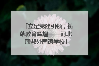 立足党建引领，铸就教育辉煌——河北联邦外国语学校