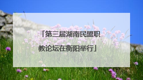 第三届湖南民盟职教论坛在衡阳举行