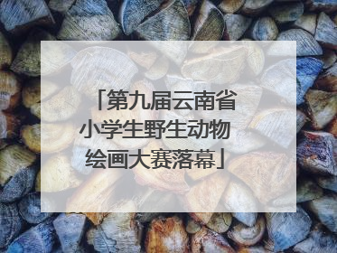 第九届云南省小学生野生动物绘画大赛落幕