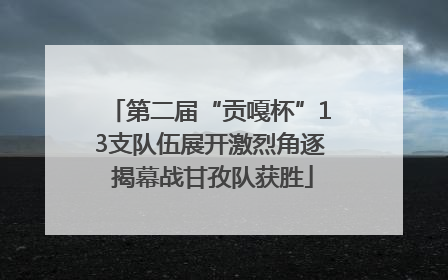 第二届“贡嘎杯”13支队伍展开激烈角逐 揭幕战甘孜队获胜