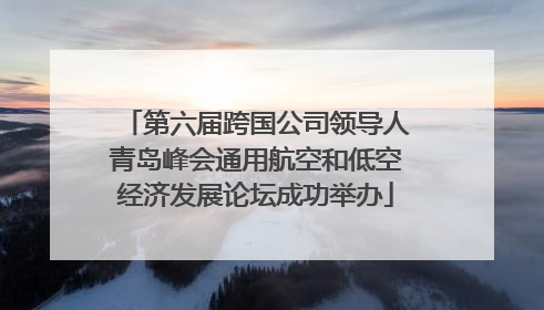 第六届跨国公司领导人青岛峰会通用航空和低空经济发展论坛成功举办