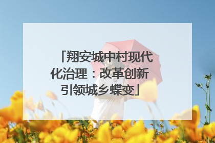 翔安城中村现代化治理：改革创新引领城乡蝶变