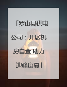 罗山县供电公司：开展机房自查 助力迎峰度夏
