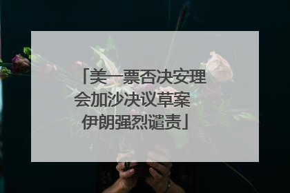 美一票否决安理会加沙决议草案 伊朗强烈谴责