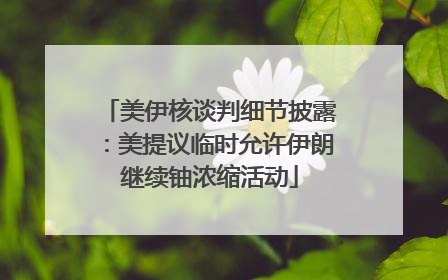 美伊核谈判细节披露：美提议临时允许伊朗继续铀浓缩活动