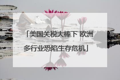 美国关税大棒下 欧洲多行业恐陷生存危机