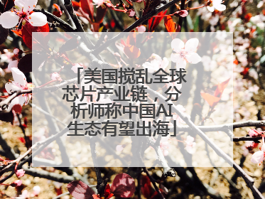 美国搅乱全球芯片产业链，分析师称中国AI生态有望出海