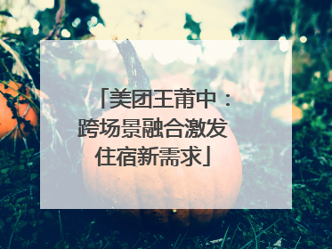 美团王莆中：跨场景融合激发住宿新需求