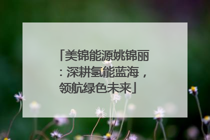 美锦能源姚锦丽：深耕氢能蓝海，领航绿色未来
