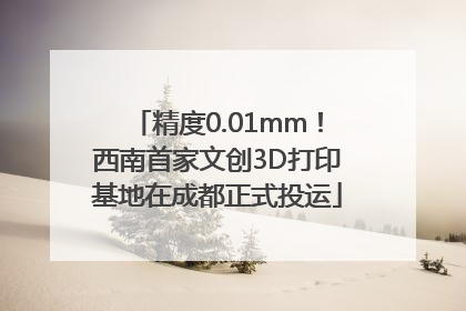 精度0.01mm！西南首家文创3D打印基地在成都正式投运